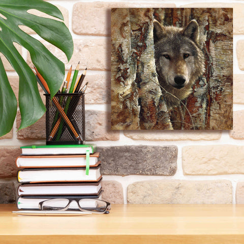 Image of 'Wolf Spirit' by Collin Bogle, Canvas Wall Art,12x12