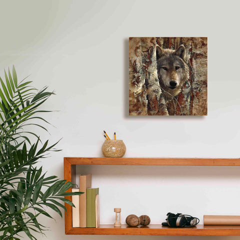 Image of 'Wolf Spirit' by Collin Bogle, Canvas Wall Art,12x12