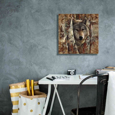 Image of 'Wolf Spirit' by Collin Bogle, Canvas Wall Art,18x18
