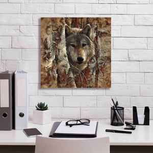 'Wolf Spirit' by Collin Bogle, Canvas Wall Art,18x18