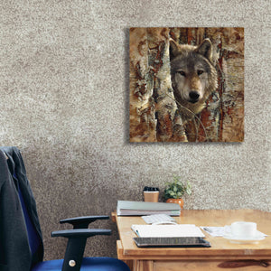 'Wolf Spirit' by Collin Bogle, Canvas Wall Art,26x26