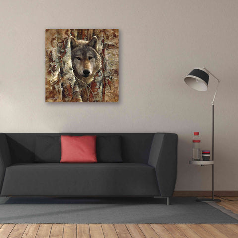 Image of 'Wolf Spirit' by Collin Bogle, Canvas Wall Art,37x37