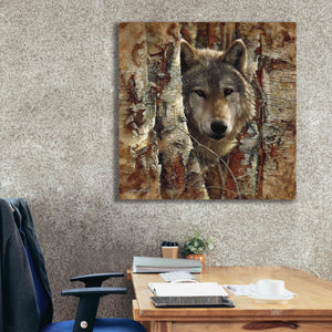 'Wolf Spirit' by Collin Bogle, Canvas Wall Art,37x37