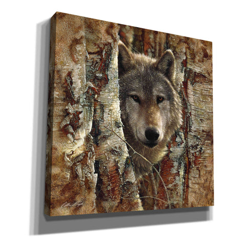 Image of 'Wolf Spirit' by Collin Bogle, Canvas Wall Art,Size 1 Square