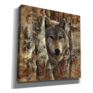 'Wolf Spirit' by Collin Bogle, Canvas Wall Art,Size 1 Square