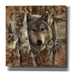 'Wolf Spirit' by Collin Bogle, Canvas Wall Art,Size 1 Square