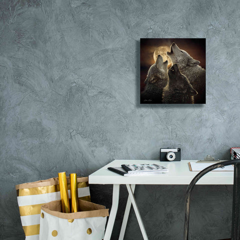 Image of 'Wolf Trinity' by Collin Bogle, Canvas Wall Art,12x12