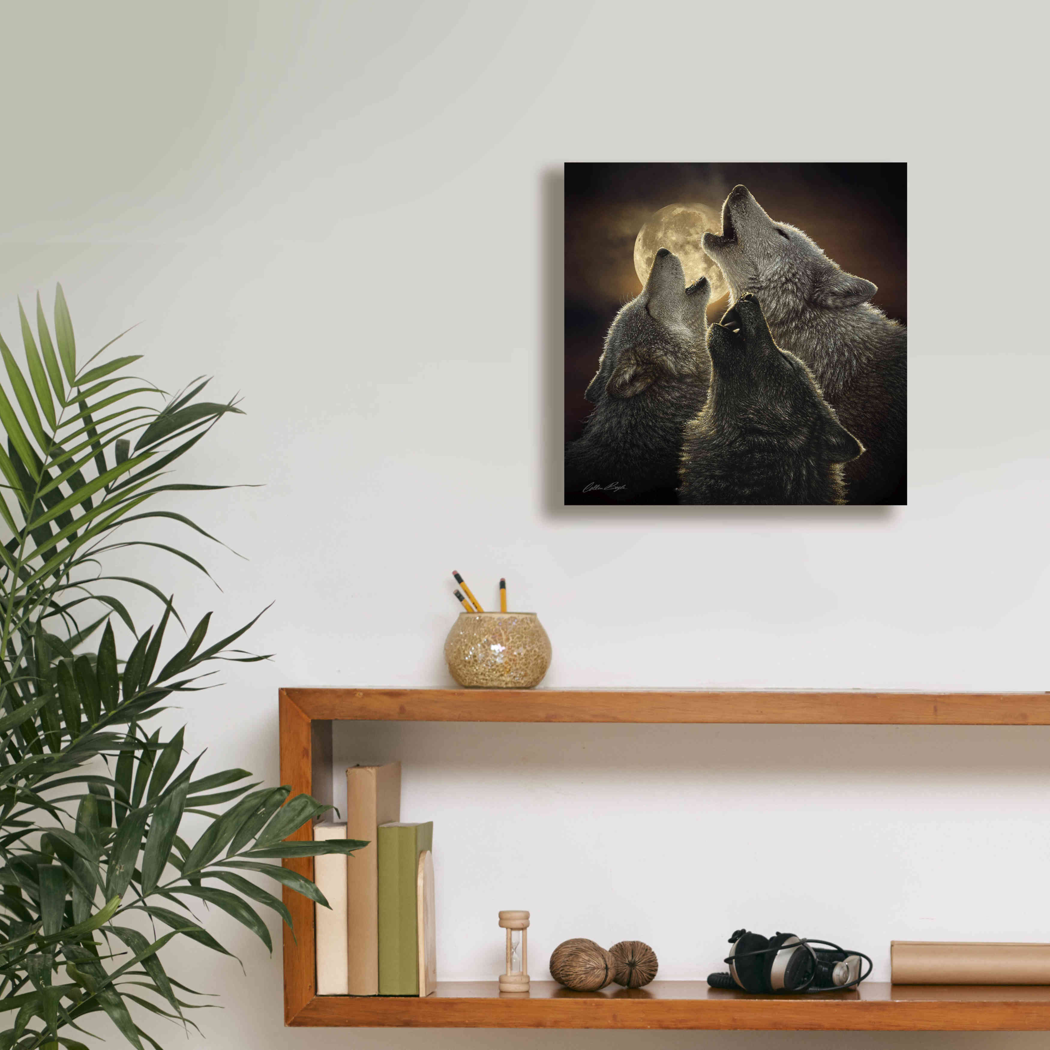 'Wolf Trinity' by Collin Bogle, Canvas Wall Art,12x12