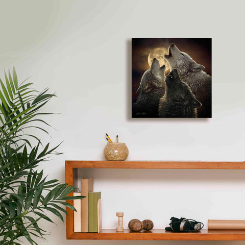 Image of 'Wolf Trinity' by Collin Bogle, Canvas Wall Art,12x12