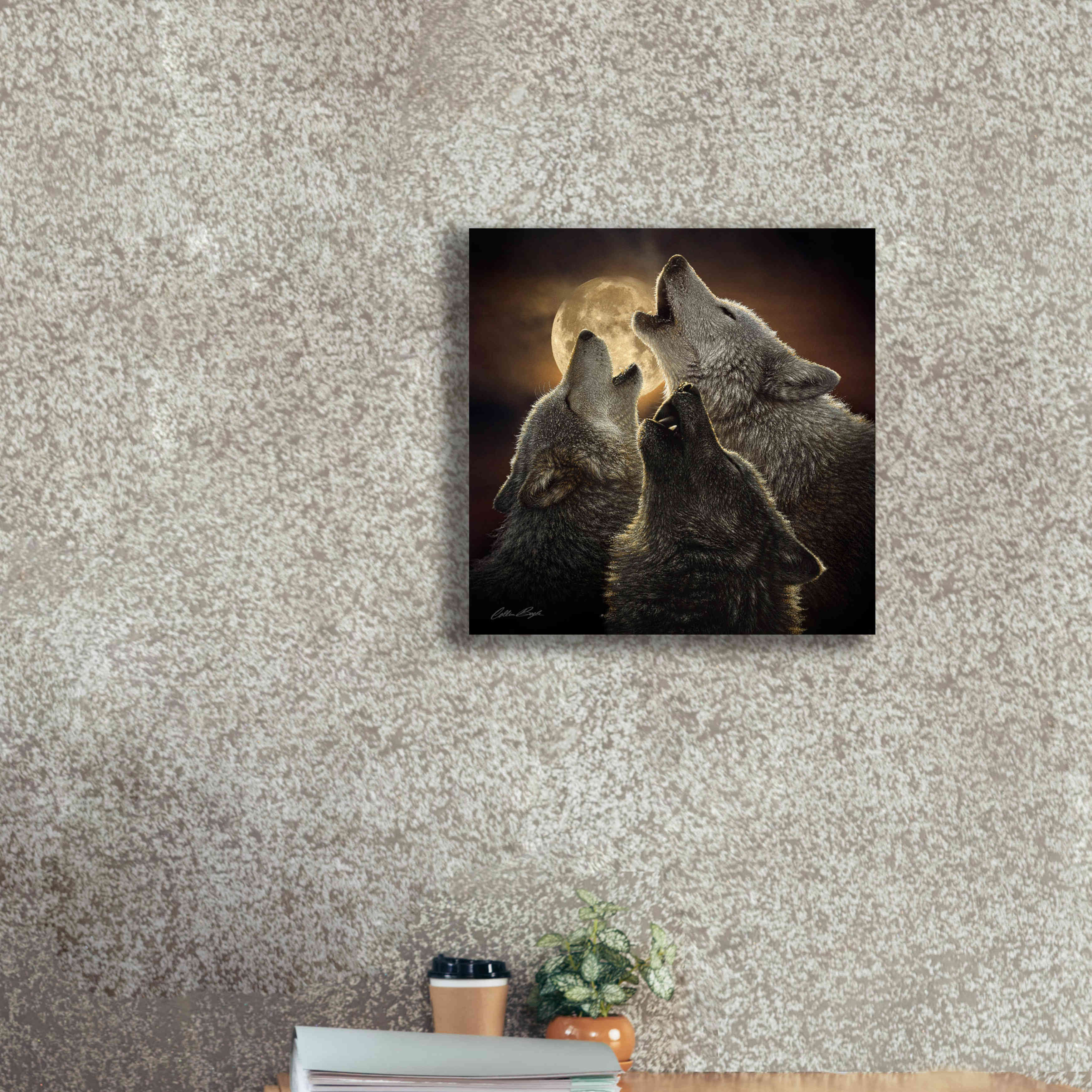 'Wolf Trinity' by Collin Bogle, Canvas Wall Art,18x18