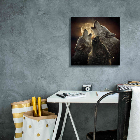 Image of 'Wolf Trinity' by Collin Bogle, Canvas Wall Art,18x18