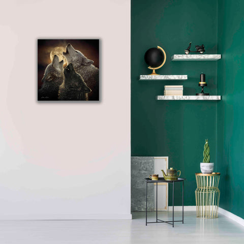 Image of 'Wolf Trinity' by Collin Bogle, Canvas Wall Art,26x26