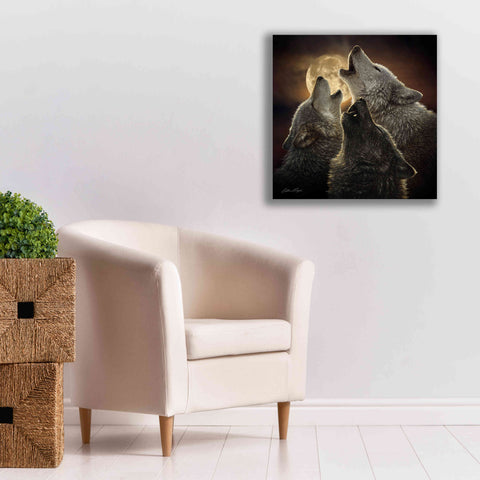 Image of 'Wolf Trinity' by Collin Bogle, Canvas Wall Art,26x26