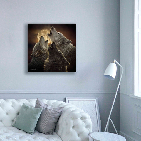 Image of 'Wolf Trinity' by Collin Bogle, Canvas Wall Art,37x37