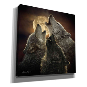 'Wolf Trinity' by Collin Bogle, Canvas Wall Art,Size 1 Square