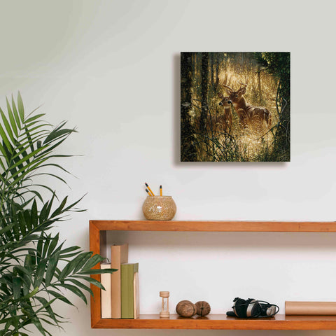 Image of 'A Golden Moment' by Collin Bogle, Canvas Wall Art,12x12