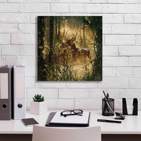 Image of 'A Golden Moment' by Collin Bogle, Canvas Wall Art,18x18