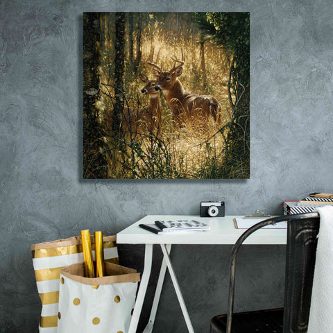 Image of 'A Golden Moment' by Collin Bogle, Canvas Wall Art,26x26