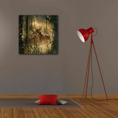 Image of 'A Golden Moment' by Collin Bogle, Canvas Wall Art,26x26