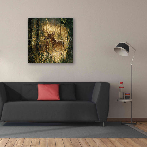 Image of 'A Golden Moment' by Collin Bogle, Canvas Wall Art,37x37