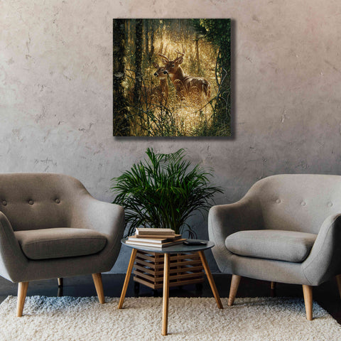 Image of 'A Golden Moment' by Collin Bogle, Canvas Wall Art,37x37