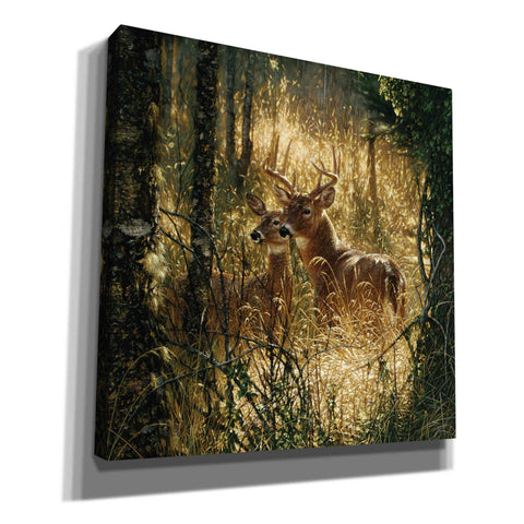 Image of 'A Golden Moment' by Collin Bogle, Canvas Wall Art,Size 1 Square
