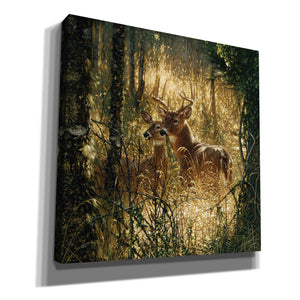 'A Golden Moment' by Collin Bogle, Canvas Wall Art,Size 1 Square