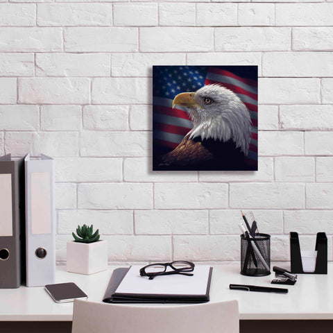 Image of 'American Bald Eagle' by Collin Bogle, Canvas Wall Art,12x12