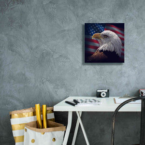 'American Bald Eagle' by Collin Bogle, Canvas Wall Art,12x12