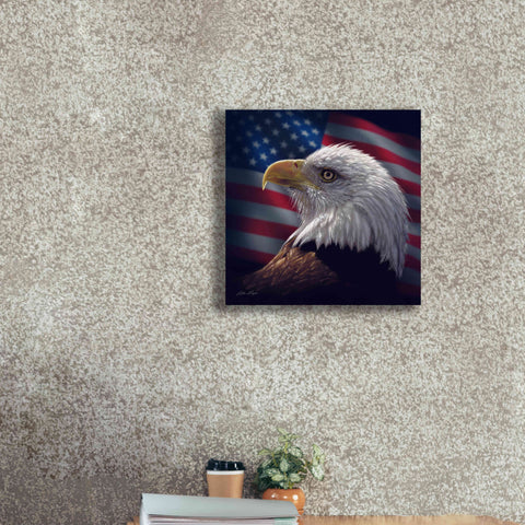 Image of 'American Bald Eagle' by Collin Bogle, Canvas Wall Art,18x18