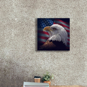 'American Bald Eagle' by Collin Bogle, Canvas Wall Art,18x18