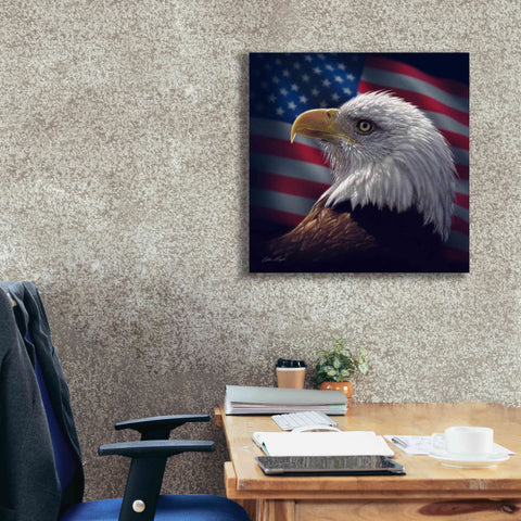 Image of 'American Bald Eagle' by Collin Bogle, Canvas Wall Art,26x26