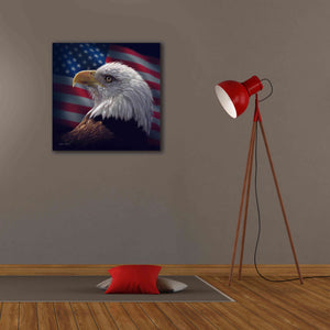 'American Bald Eagle' by Collin Bogle, Canvas Wall Art,26x26