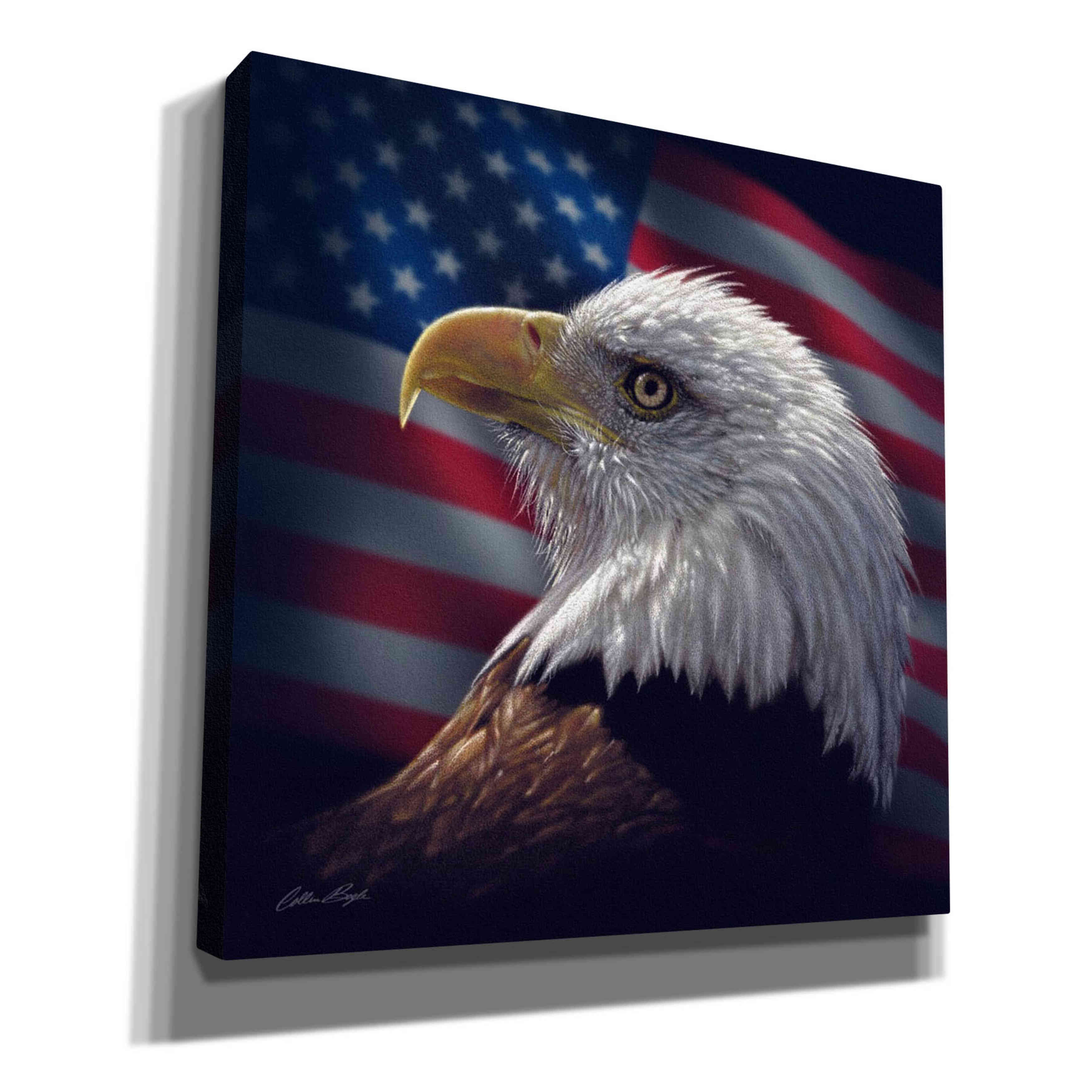 'American Bald Eagle' by Collin Bogle, Canvas Wall Art,Size 1 Square