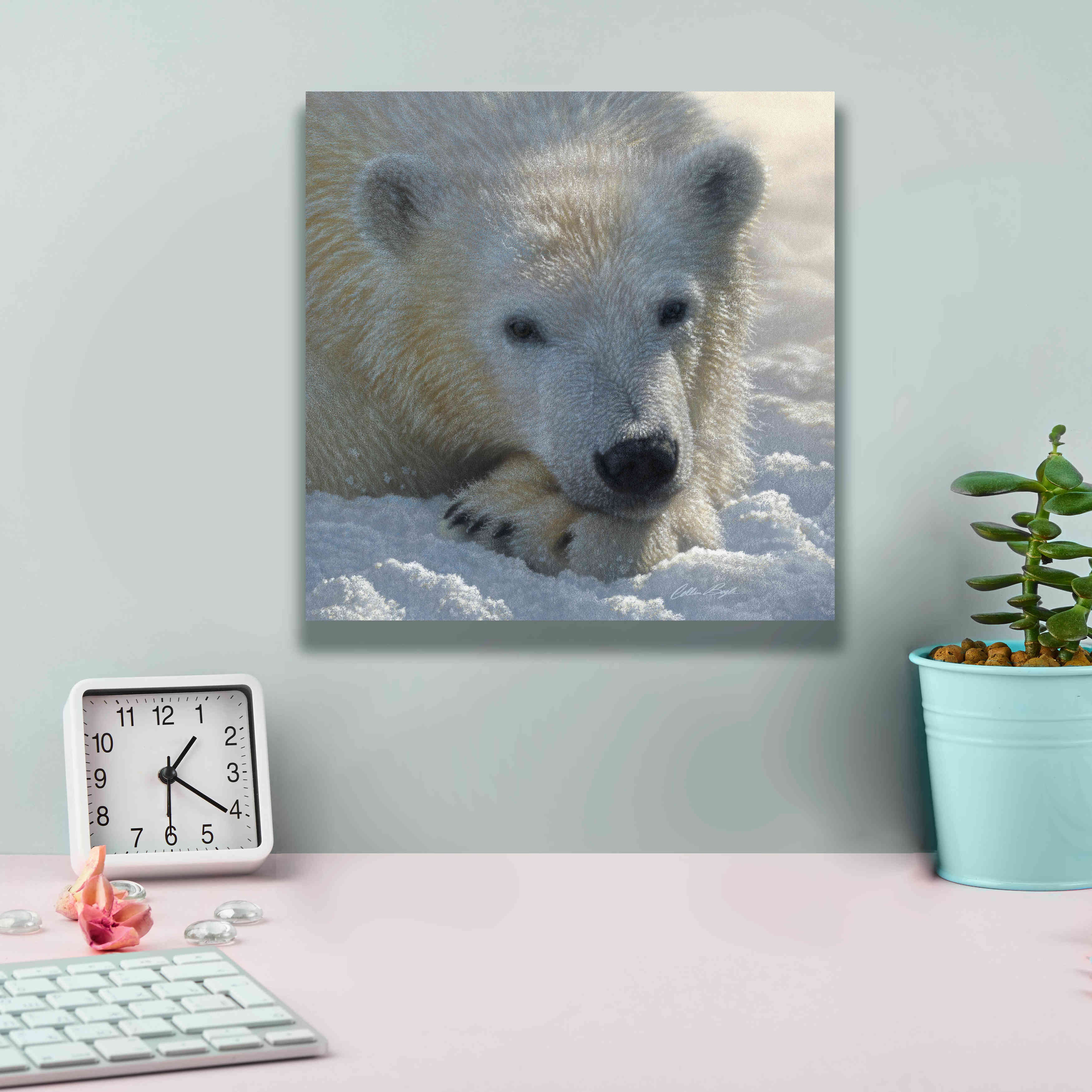 'Polar Bear Cub' by Collin Bogle, Canvas Wall Art,12x12
