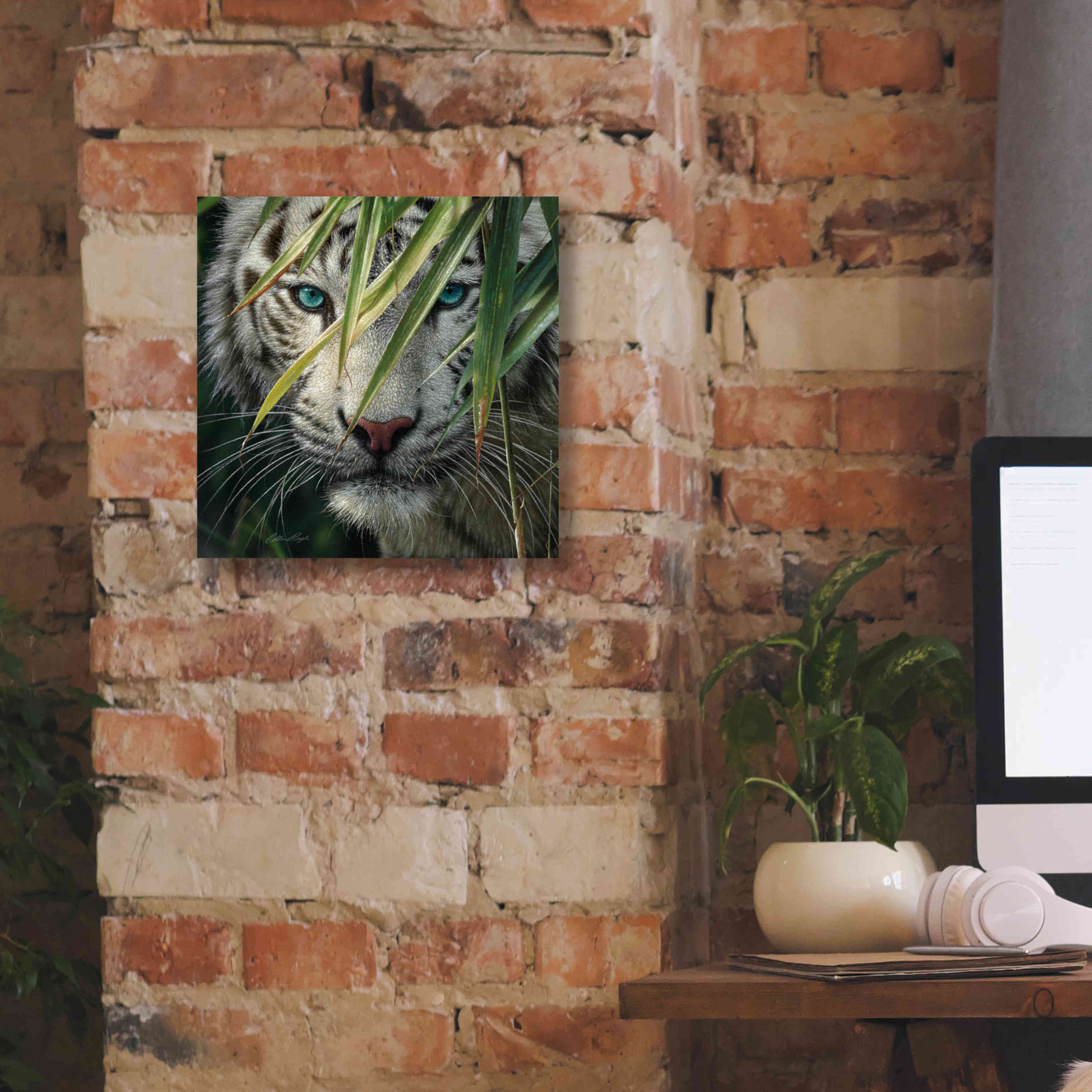 'Watching and Waiting' by Collin Bogle, Canvas Wall Art,12x12