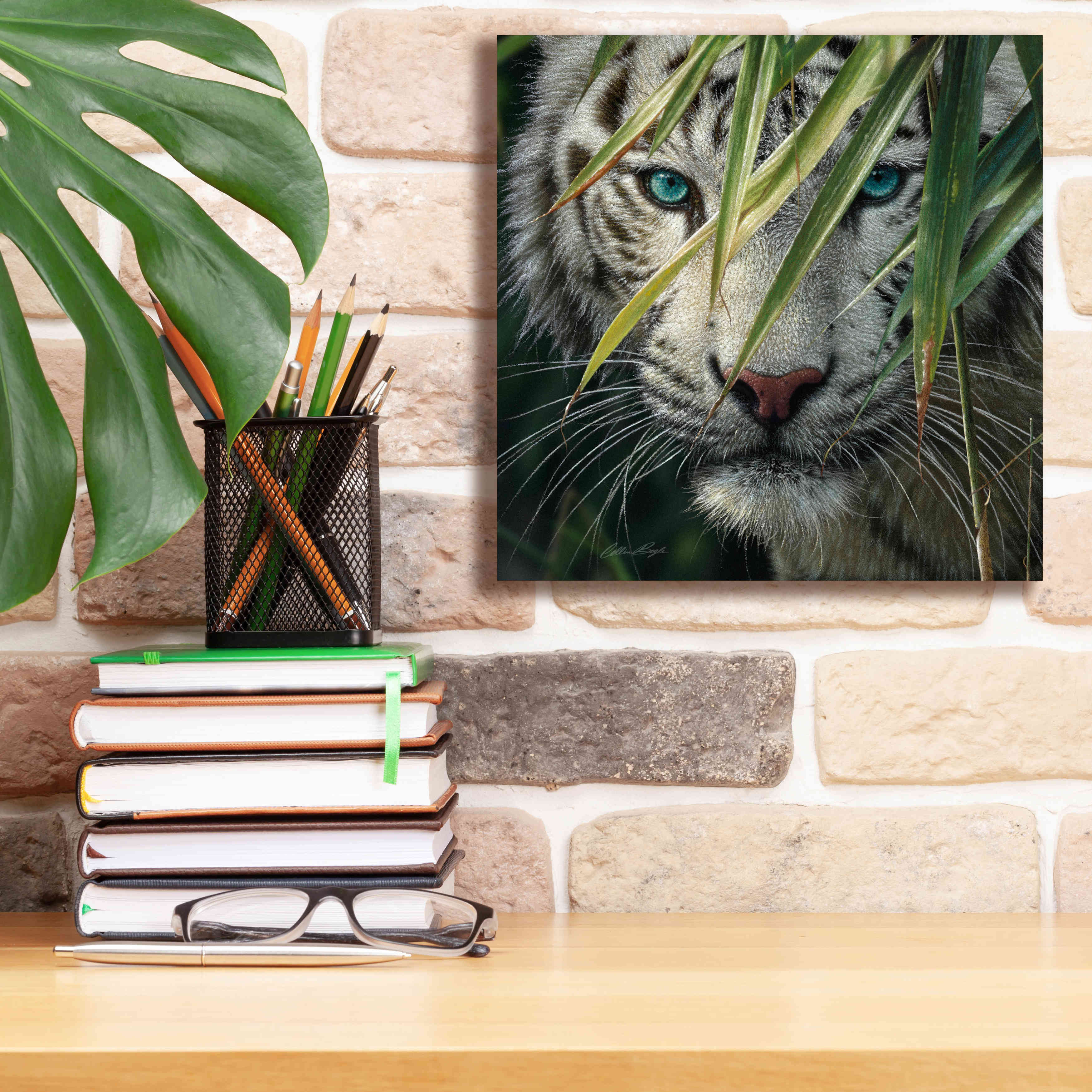 'Watching and Waiting' by Collin Bogle, Canvas Wall Art,12x12