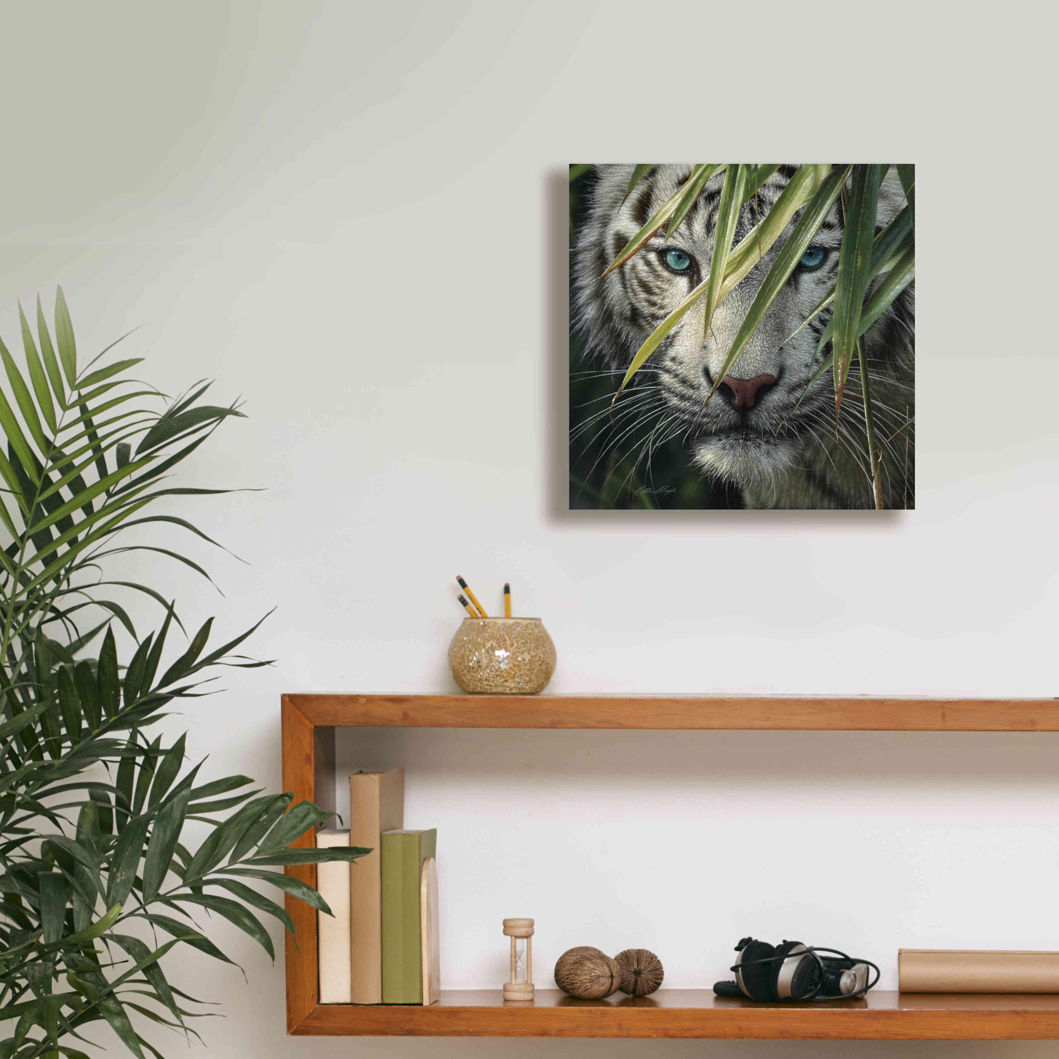 'Watching and Waiting' by Collin Bogle, Canvas Wall Art,12x12