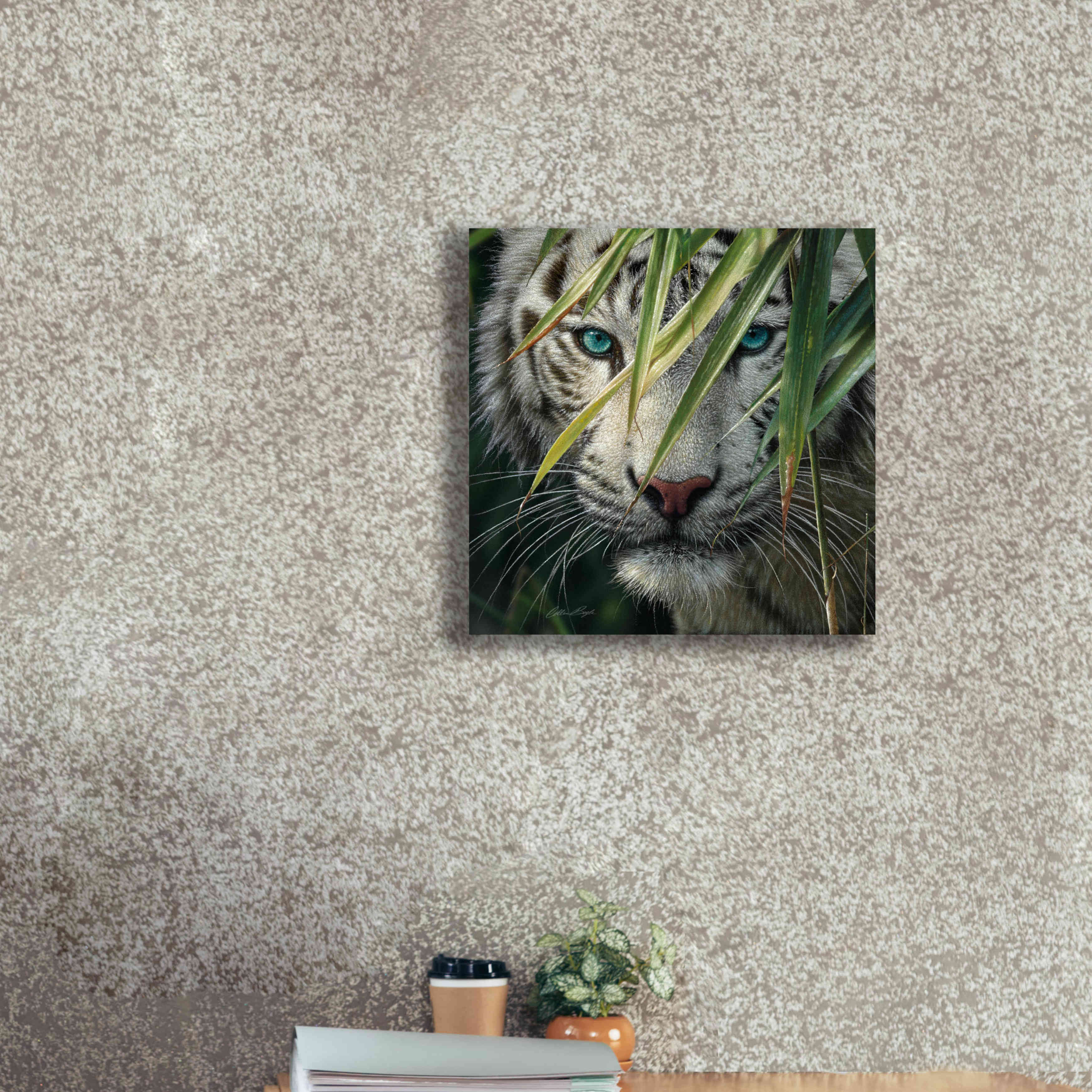 'Watching and Waiting' by Collin Bogle, Canvas Wall Art,18x18