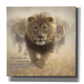 'Wicked Flee' by Collin Bogle, Canvas Wall Art,Size 1 Square