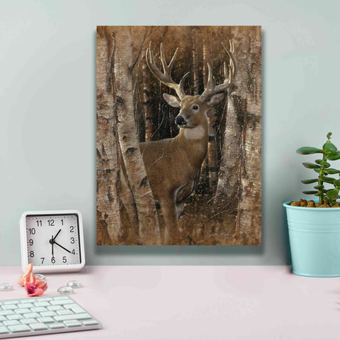 Image of 'Birchwood Buck' by Collin Bogle, Canvas Wall Art,12x16