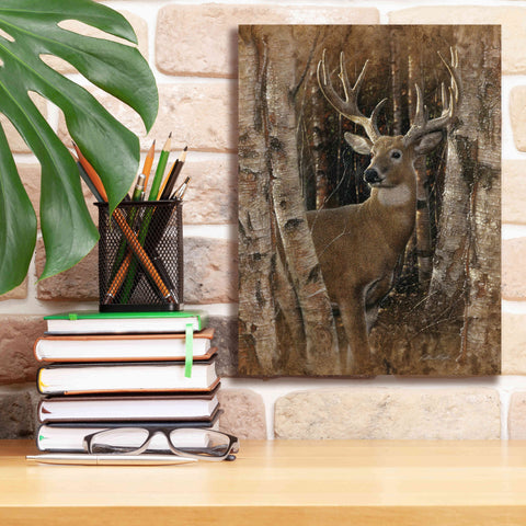 Image of 'Birchwood Buck' by Collin Bogle, Canvas Wall Art,12x16
