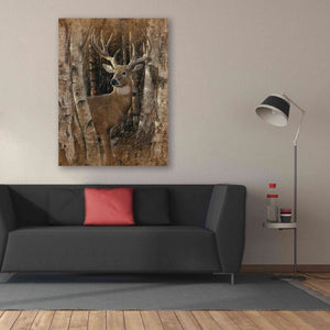 'Birchwood Buck' by Collin Bogle, Canvas Wall Art,40x54