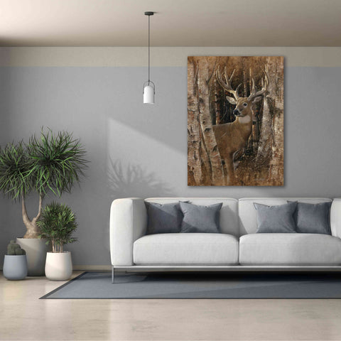 Image of 'Birchwood Buck' by Collin Bogle, Canvas Wall Art,40x54