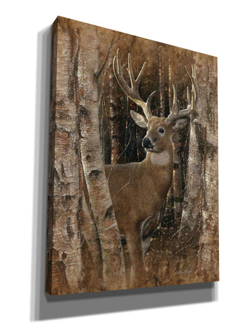 Image of 'Birchwood Buck' by Collin Bogle, Canvas Wall Art,Size C Portrait