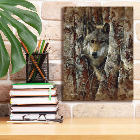 Image of 'Wood Land Spirit' by Collin Bogle, Canvas Wall Art,12x16