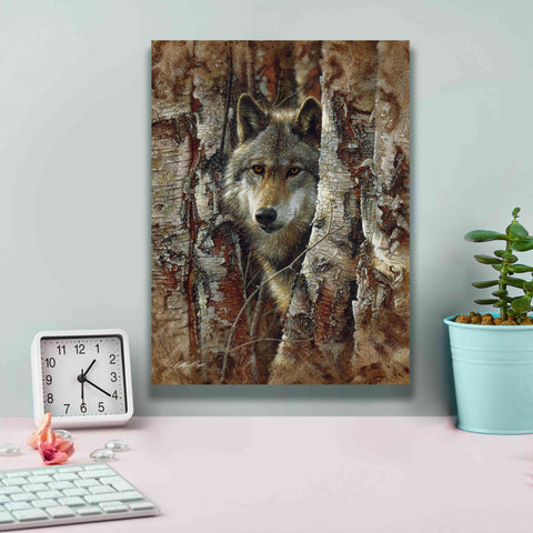 Image of 'Wood Land Spirit' by Collin Bogle, Canvas Wall Art,12x16