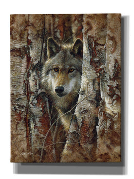 'Wood Land Spirit' by Collin Bogle, Canvas Wall Art,Size C Portrait