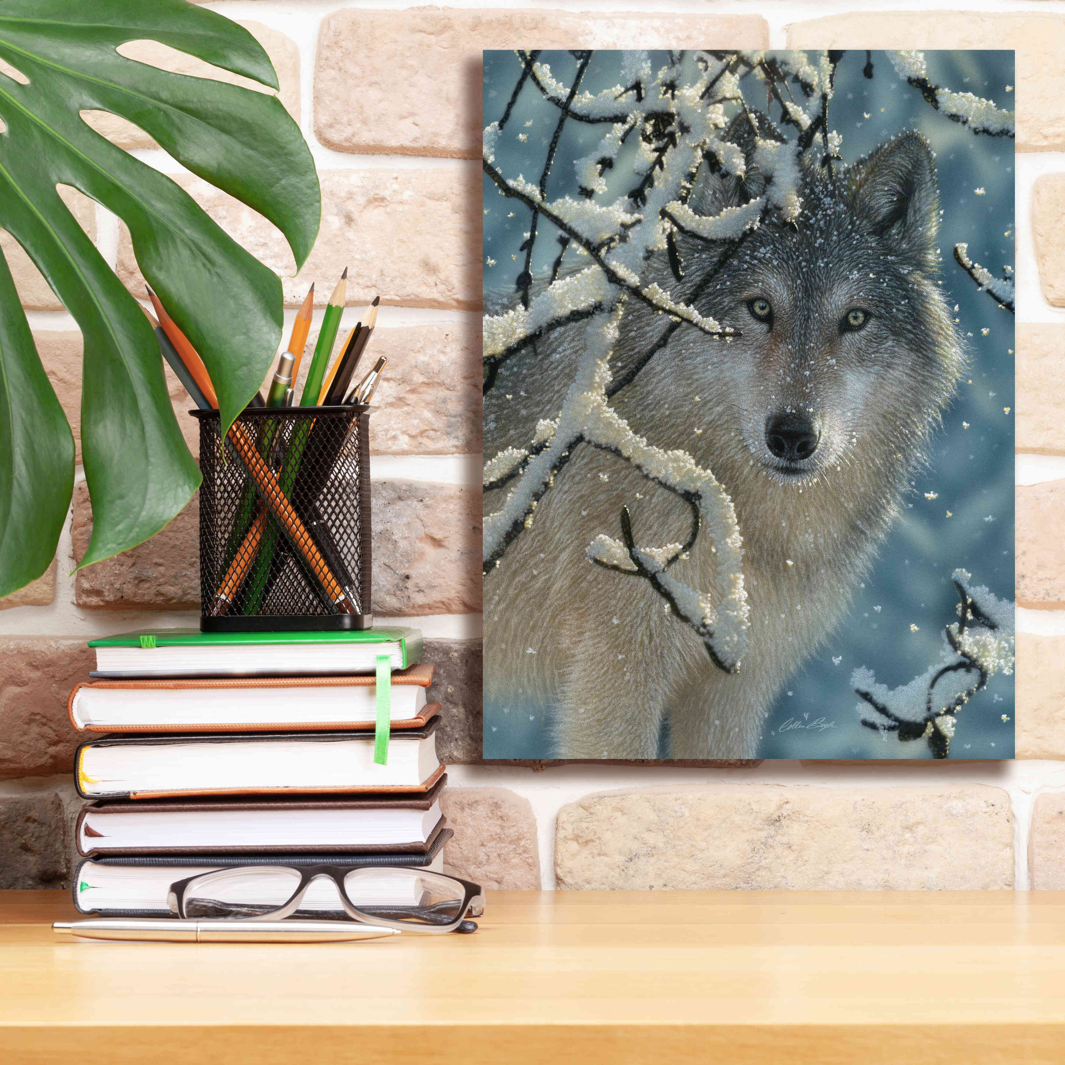 'Broken Silence' by Collin Bogle, Canvas Wall Art,12x16