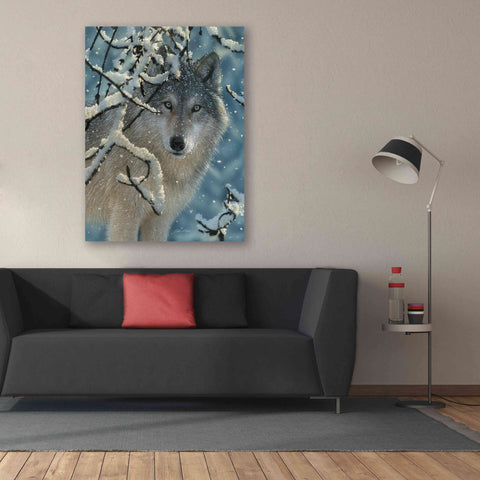 Image of 'Broken Silence' by Collin Bogle, Canvas Wall Art,40x54